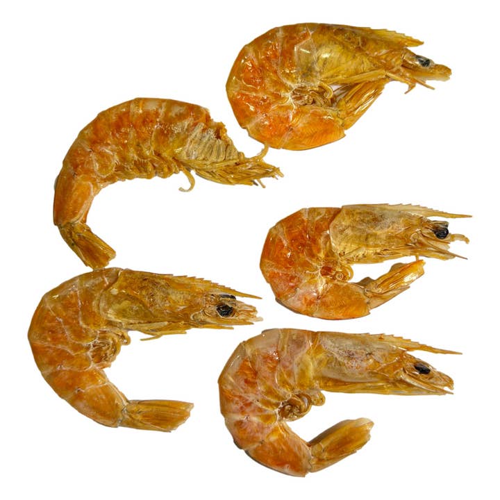 Camarón Seco Mexicano Grande | Grosses Crevettes Sèches pour la vente par San Jose Produce & Imports LLc