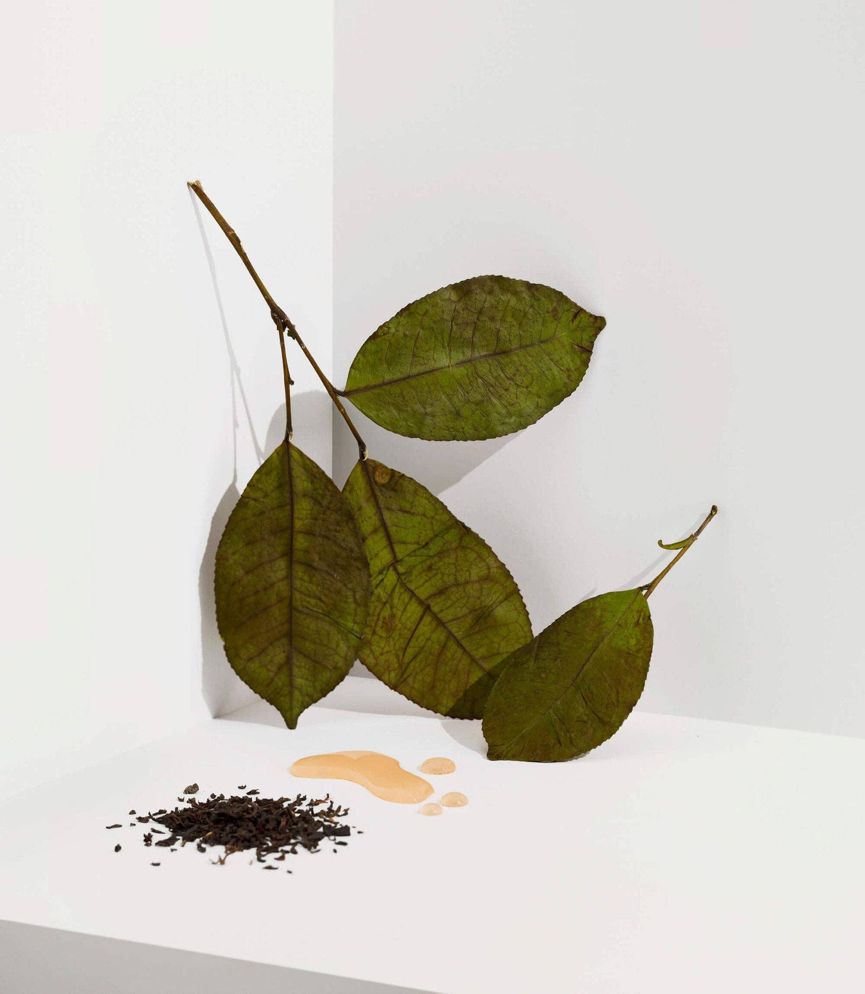 Cocoon Tea Artisans – wholesale Tepåsar – Earl Grey helbladigt te med toner av färsk bergamott1