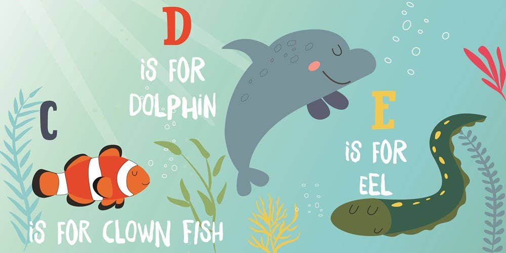 Familius, LLC - Wholesale Preschool Book (3-5) - O is for Ocean2