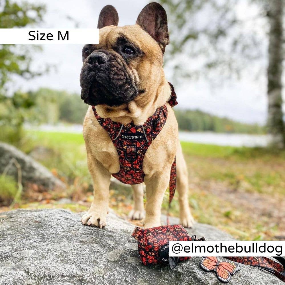 Trufois - Vente Harnais – chien - Harnais Sisu - Chute et Vol12