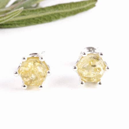 Brincos de prata Gemas de âmbar amarelo por atacado de Baltic Amber SOS