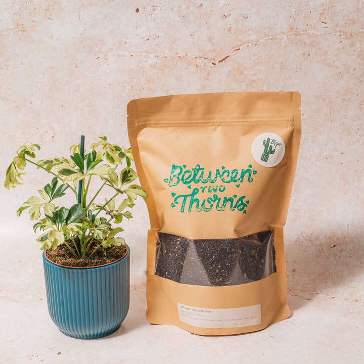 Between Two Thorns – wholesale Planting/potting soil – Cacti and Succulent Soil2