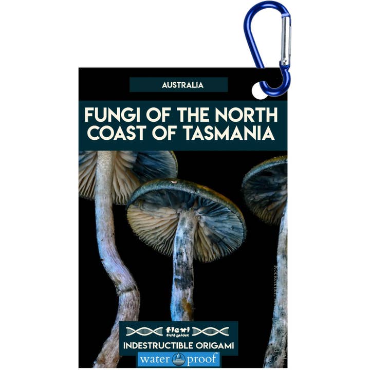 Champignons de la côte nord de la Tasmanie - Origami indestructible pour la vente par Flexi Field Guides