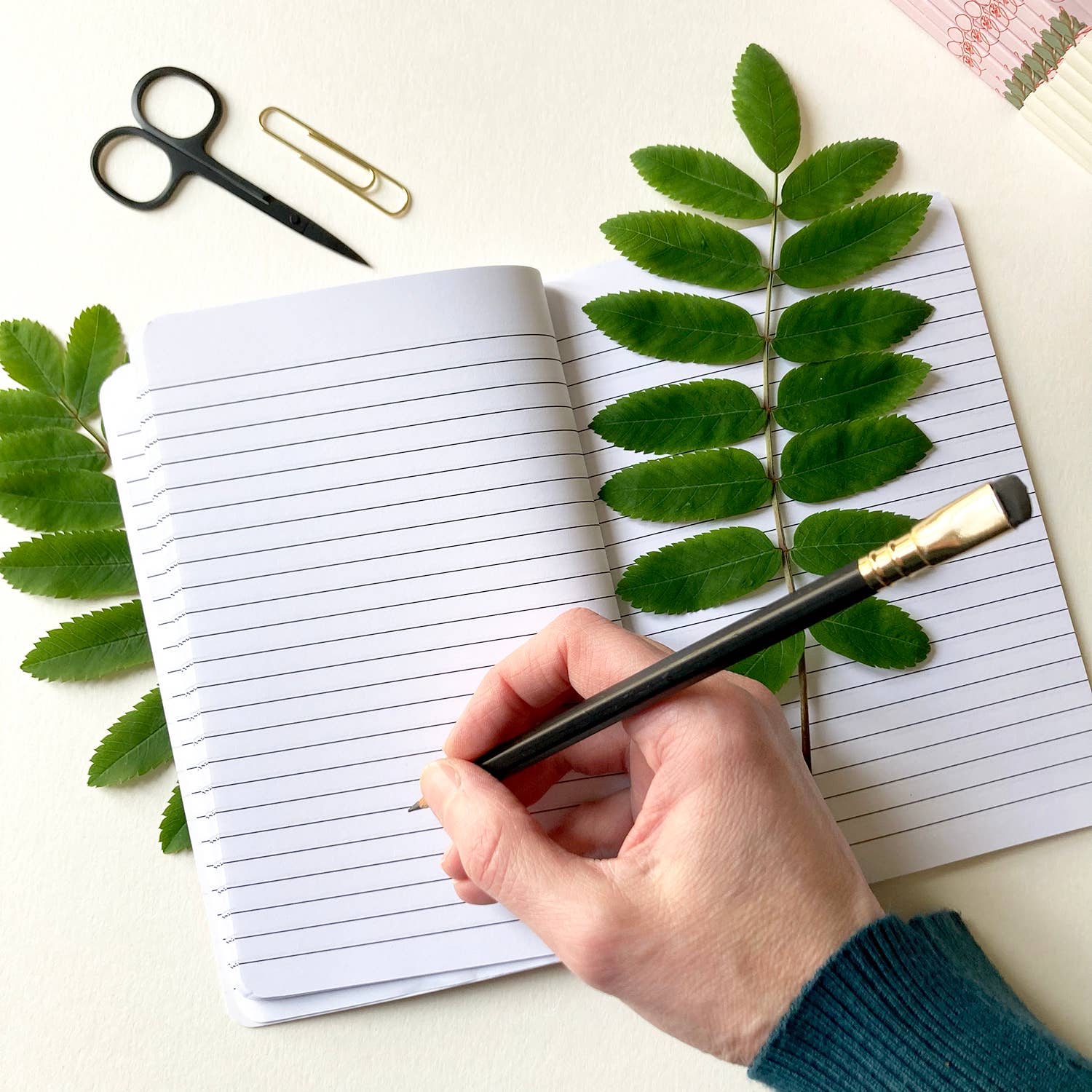 Valérie Boivin illustration - Wholesale Notebook - STRAWBERRY NOTEBOOK 4