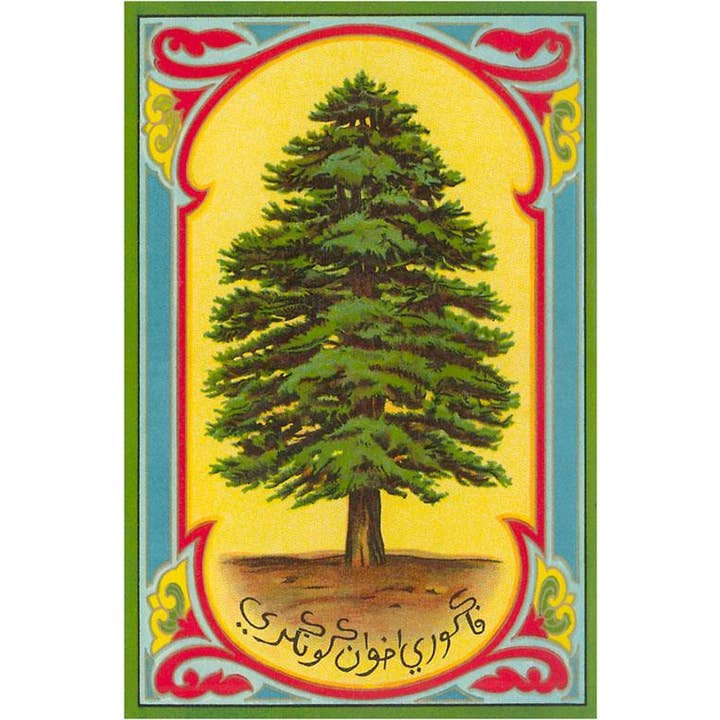 Found Image Press - Wholesale Magnet - Magnet FG-181 Cedar of Lebanon, Arabic Script
