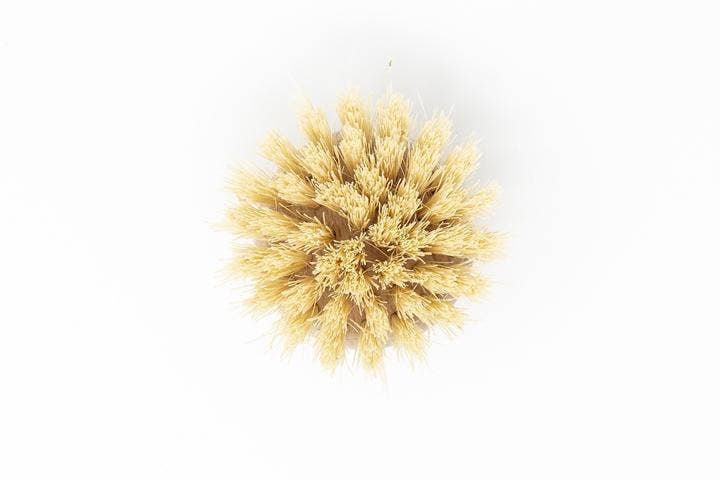 The Waste Less Shop - Wholesale Cleaning Brush - Beechwood Dish Brush Replacement Head – Soft Agave3