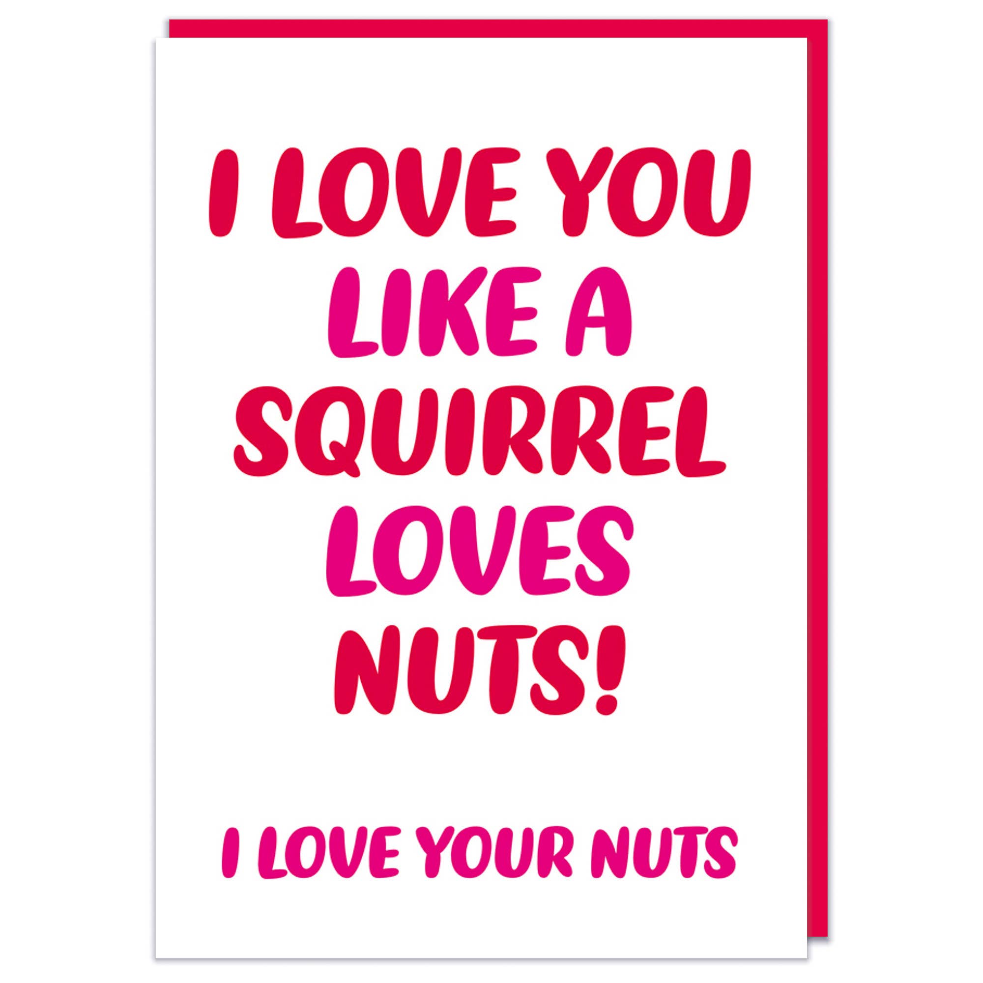 Dean Morris Cards – wholesale Valentine's Day card – Like a squirrel loves nuts Greeting Card2