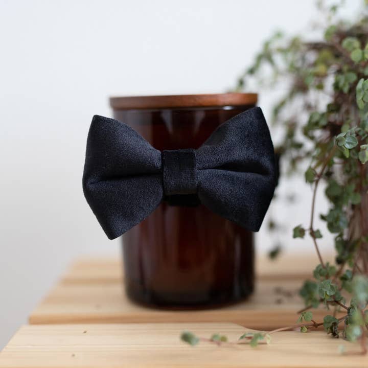 Dog Bow Velvet Black for wholesale by Pip and Palms