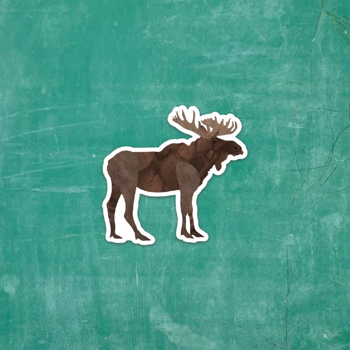 Wren and the Raven - Wholesale Magnet - Wildlife Magnets3