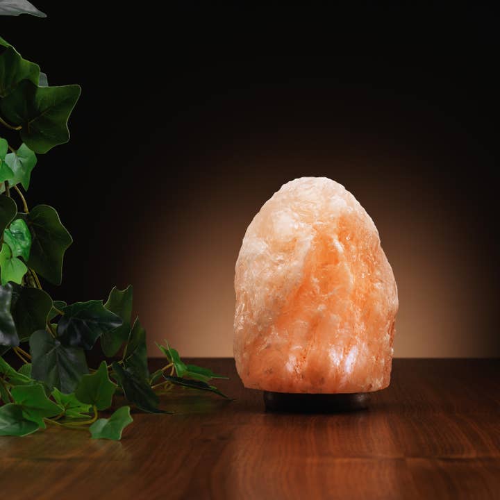 The Source Wholesale LTD - Wholesale Salt Lamp - Colour Changing Himalayan Salt Lamp1