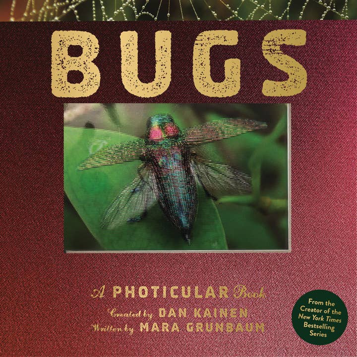 Bugs: A Photicular Book for wholesale by Hachette Book Group