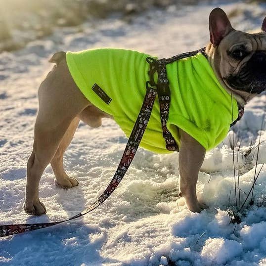 Neon Yellow Water resistant dog fleece for wholesale by Bella Katee Pets