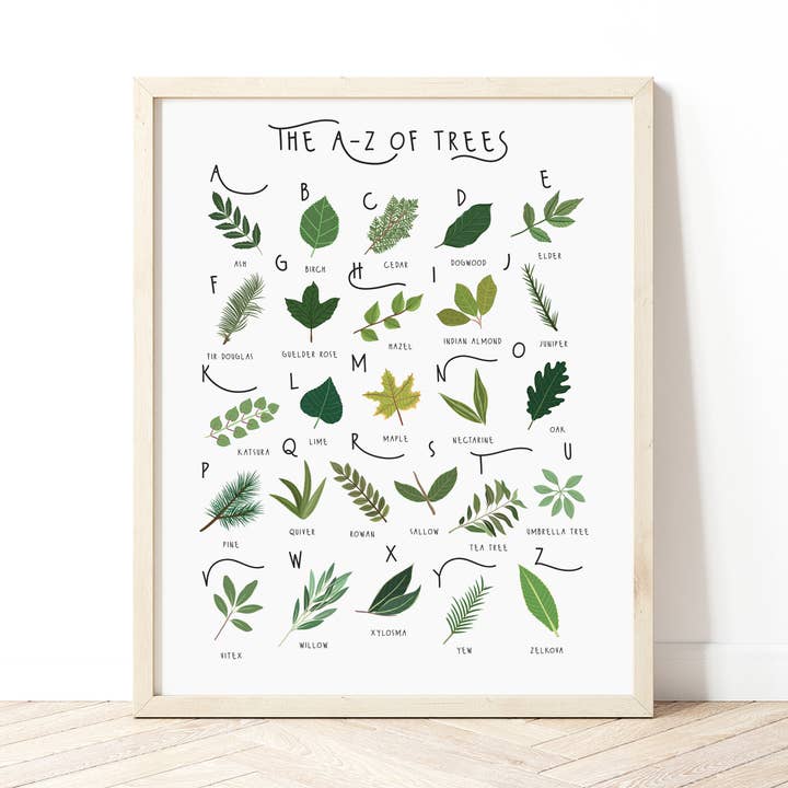 Das A-Z der Bäume Drucken für den Großhandel von Bea Baranowska Illustration