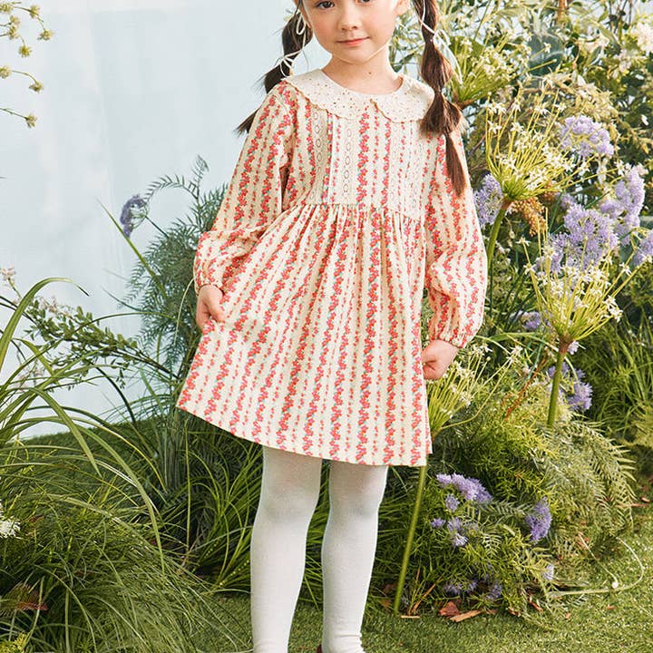 Rae Lace Collar Floral Print Dress for wholesale by ToTo Heros