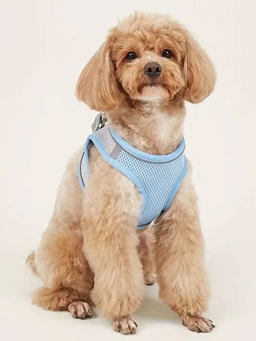 ( #182 ) SOFT MESH VEST FOR DOGS AND CATS-REFLECITVE STRIP for wholesale by Jewelry Max