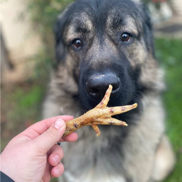 Rocky&Stella’s Treats - Wholesale Pet Treats - Dog - Dehydrated Chicken Feet3