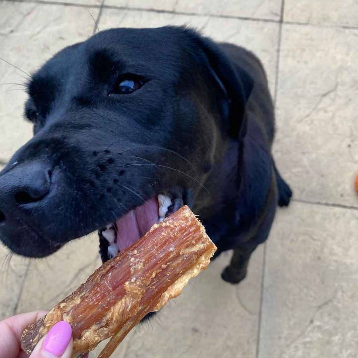 Truffe Délice - Vendita all'ingrosso Snack - Cani - Tendini di manzo3