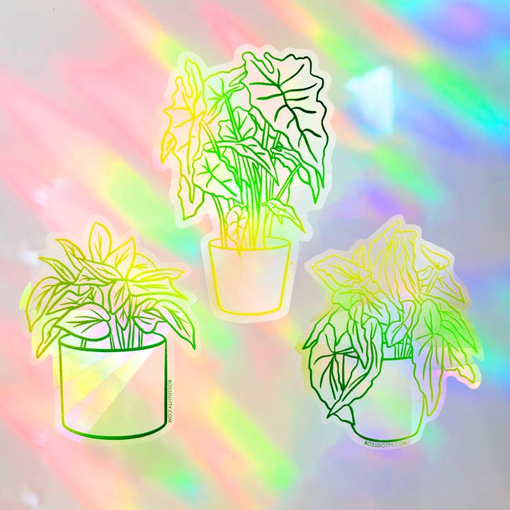 Plantes d'intérieur Attrape-soleil arc-en-ciel | Ensemble de 3 pour la vente par Boss Dotty Paper Co.