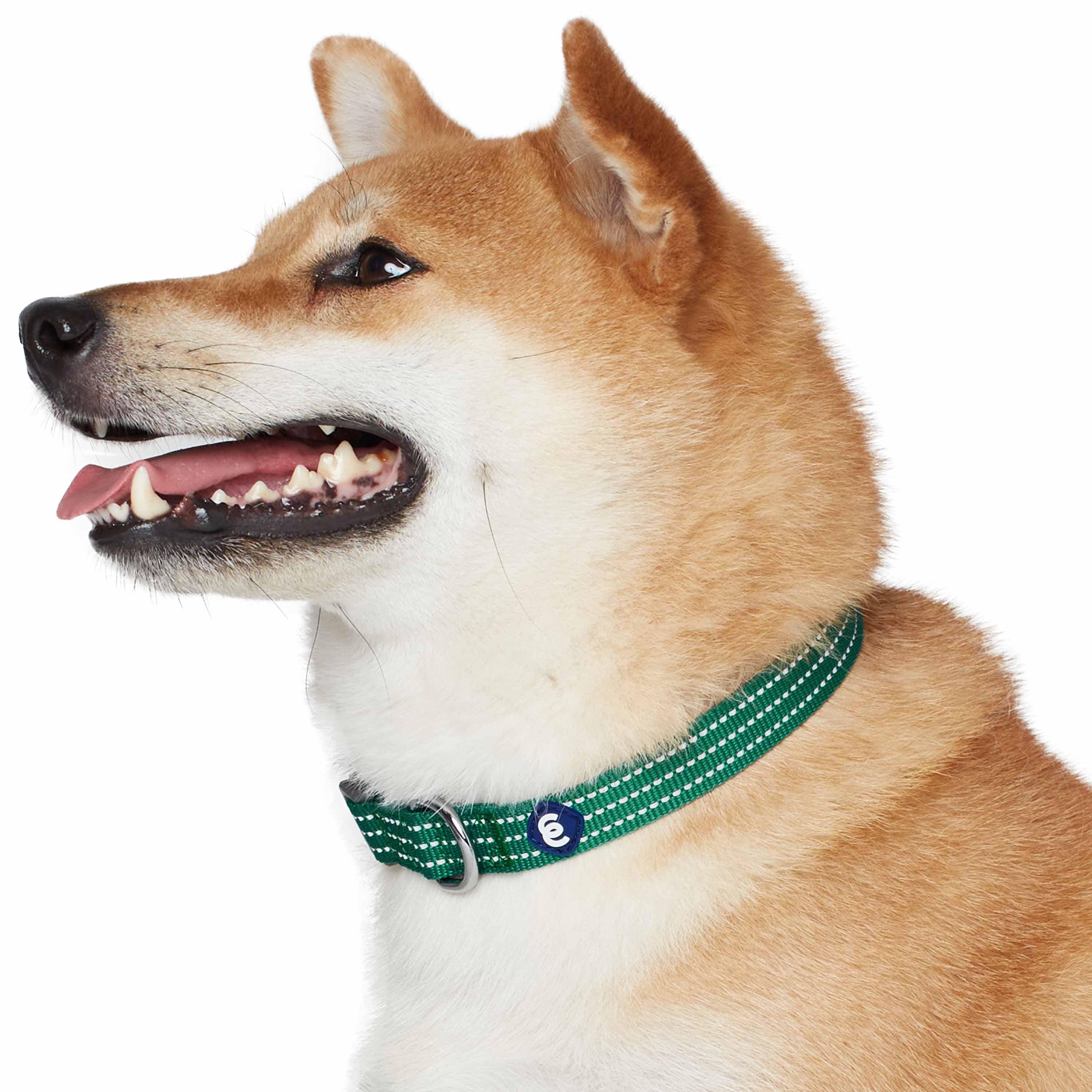Blueberry Pet - Venta al por mayor Collar - Perros - Collar reflectante para perros Better Basic en 8 colores34