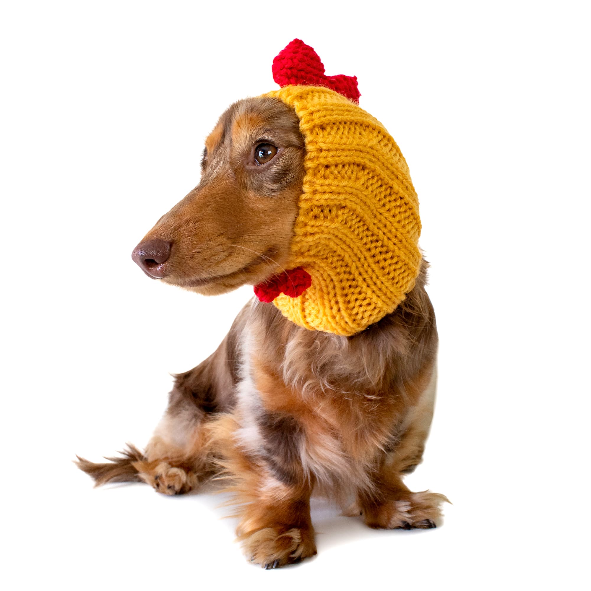 Zoo Snoods – wholesale Pet snood – Dog – Yellow Rooster Dog Snood0