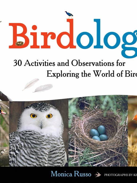 Birdology for wholesale by Independent Publishers Group