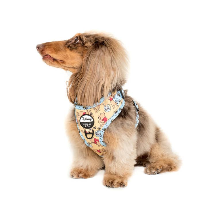 Pablo & Co. Boutique - Wholesale Pet Harness - Dog - Winnie the Pooh & Bee's: Adjustable Harness