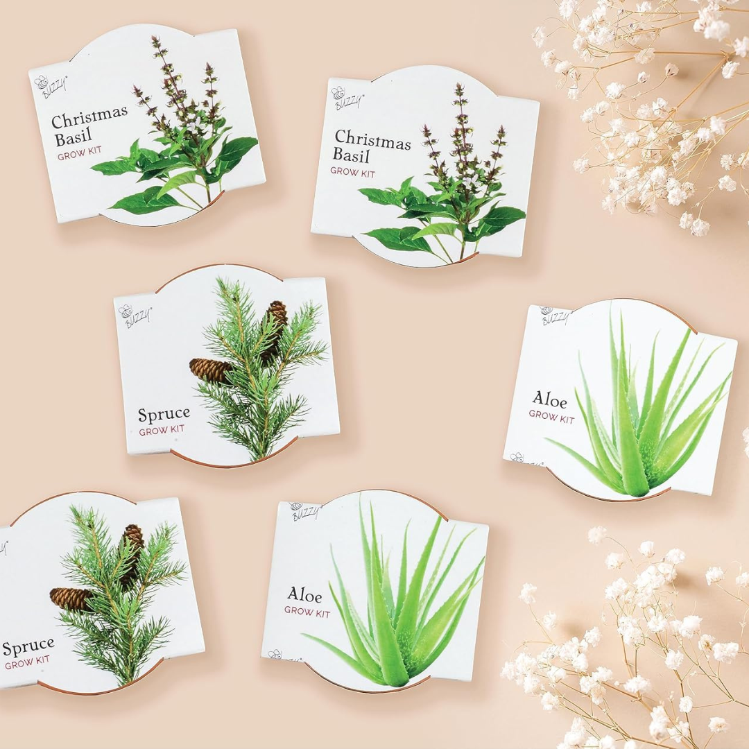 Buzzy Seeds Grow Gifts - Wholesale Plant Pot - Mini Terracotta Holiday Grow Pots – Assorted Gift Set (12pk)4