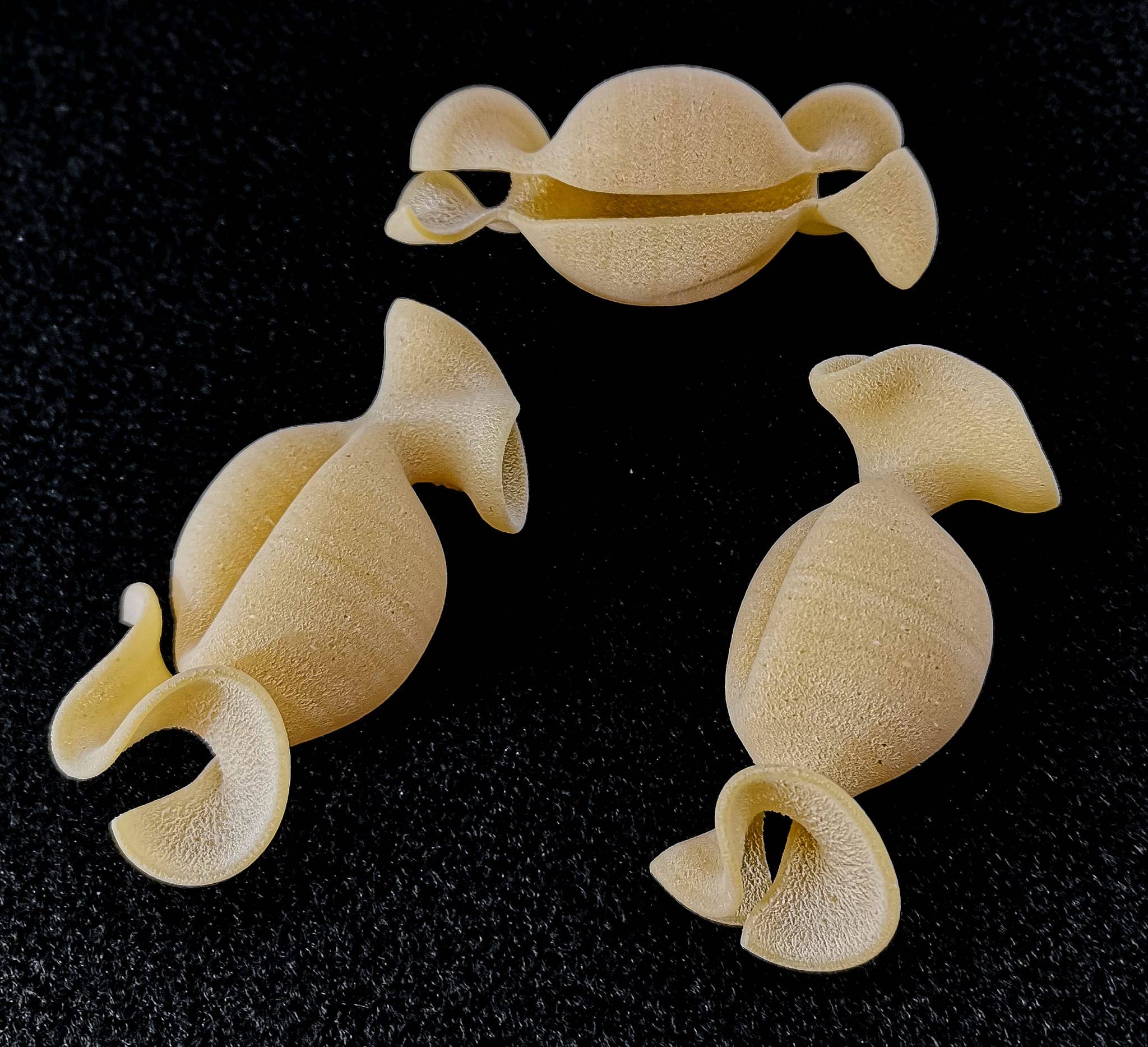 IL POZZO DEL RE firma Antonio Marella - Wholesale Pasta - Caramelloni 300 G3