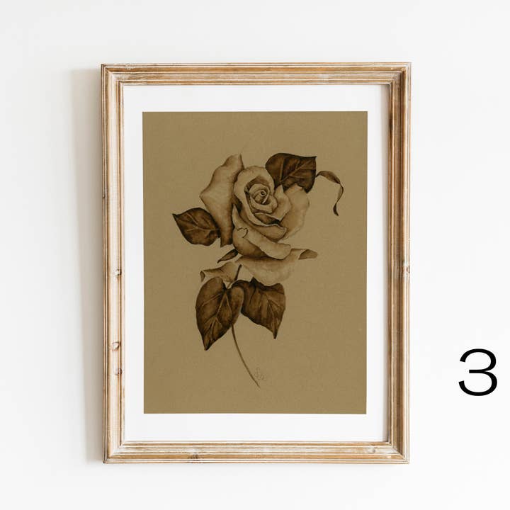 Sarah Jane Studio Art - Wholesale Art Print - Vintage Sepia Rose Prints2