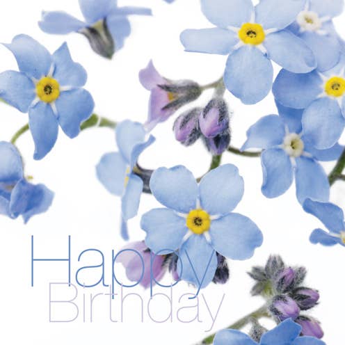 FFHB06 HAPPY BIRTHDAY Grußkarte Englische Gartenblumen für den Großhandel von Dyson Design