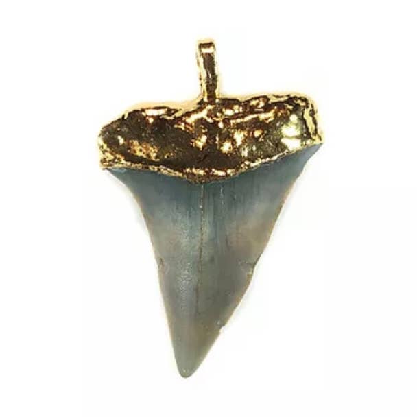 Big FIN Gold 350 for wholesale by Fin montauk