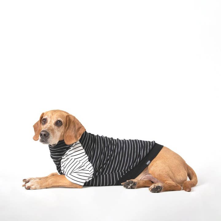 Der Charlie (Ausverkauf) für den Großhandel von The Long Dog Clothing Co.