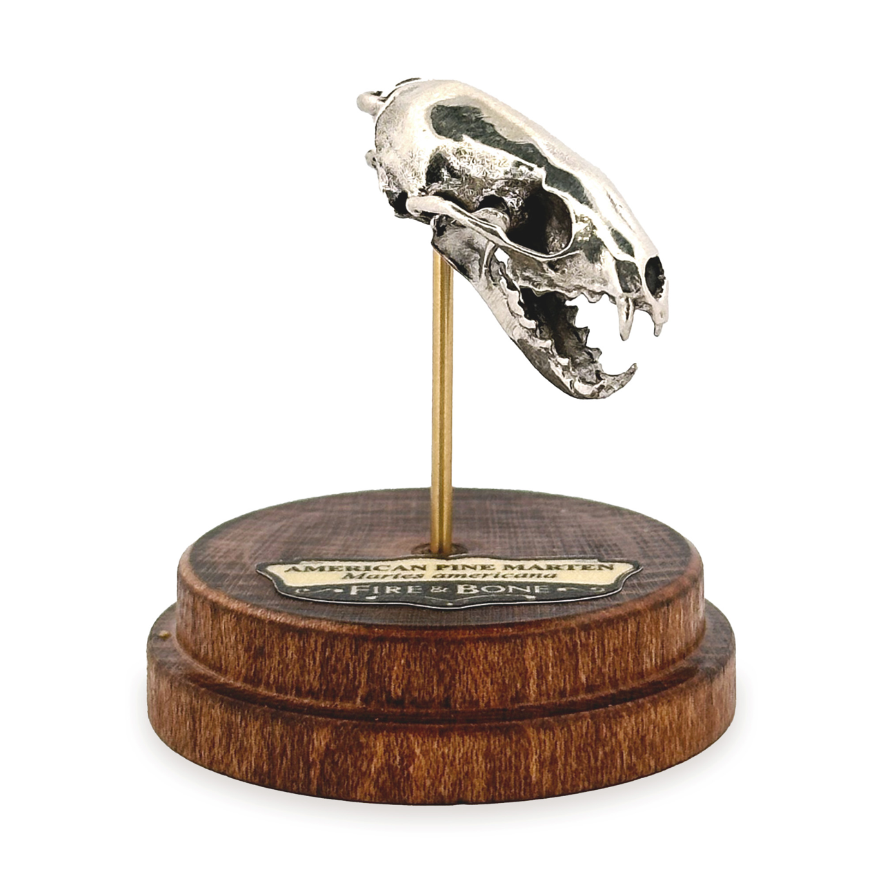 Fire & Bone - Wholesale Pendant/Charm Necklace - American Pine Marten2