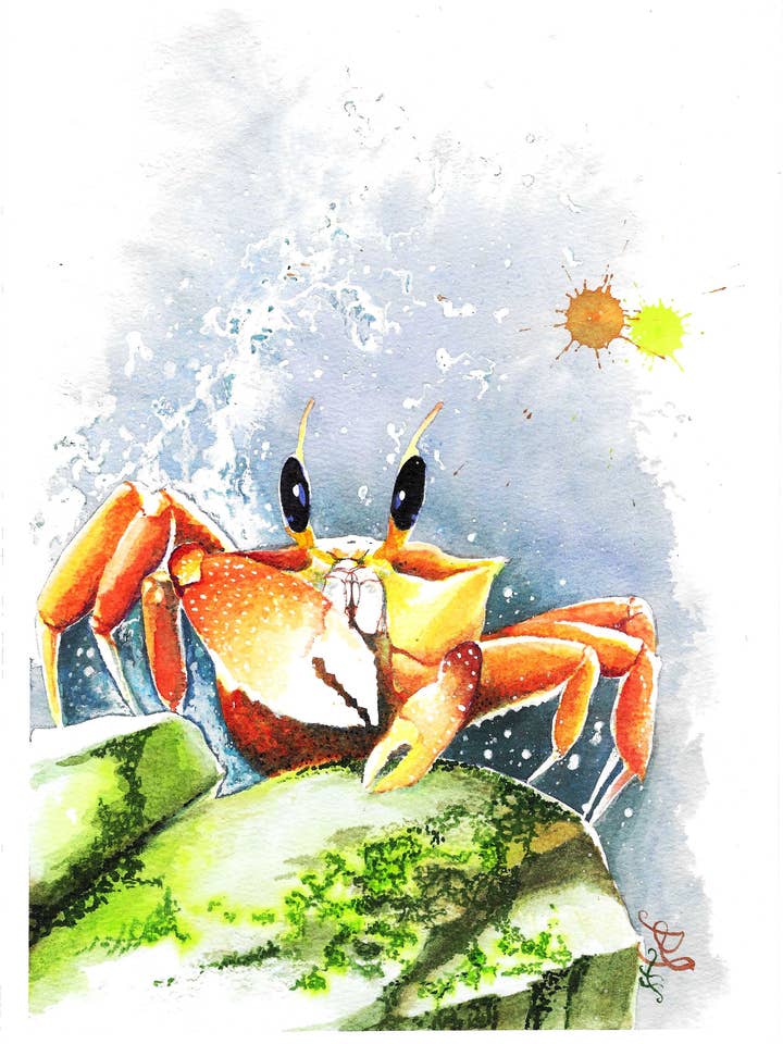 Crab - Ocean Collection Print for wholesale by Dream In Watercolor