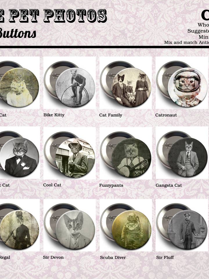 Boutons de chat, épingles, badges, points de vente, chats drôles dans les vêtements, mignon pour la vente par The Wild Oddisorium
