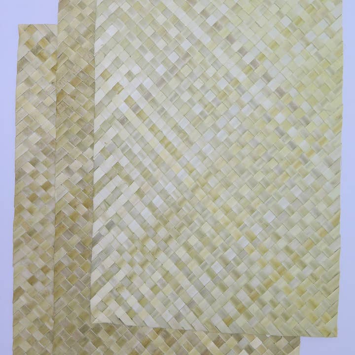 BULK Large 18x12" Palm Mats - Home Decoration /Boho Placemat for wholesale by No Furries Delights