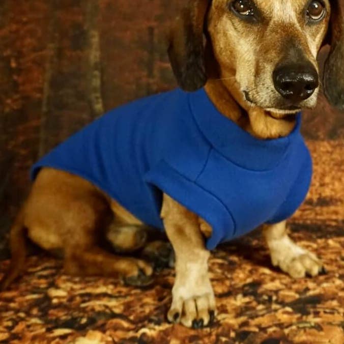 Royal Blue Königsblauer Fleece-Pullover für Dackel for wholesale on Faire0