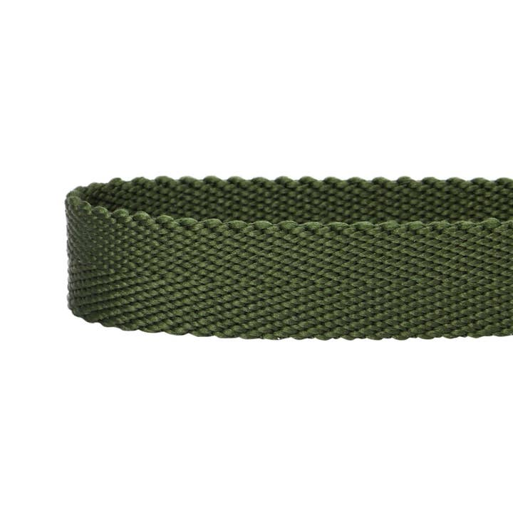 Blueberry Pet - Wholesale Pet collar – Dog - Best-Seller Double D-Ring Dog Collar -Must-Have for All Dogs48