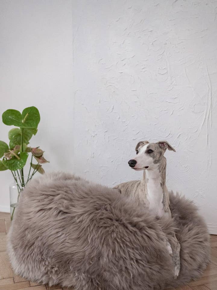 Oval hunde- og kattekurv i naturlig lammeskind - Greige for engroshandel hos Mellow