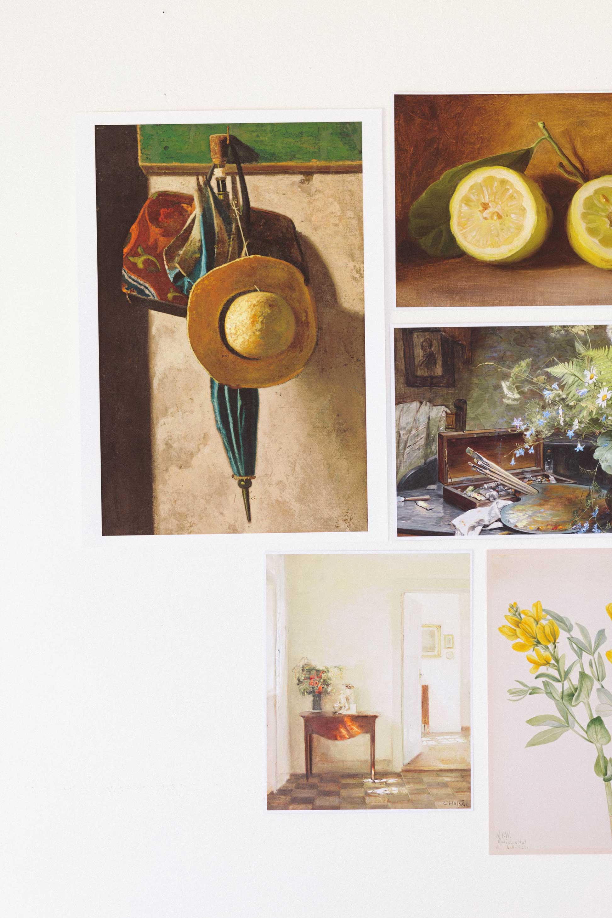 Lazybones - Wholesale Art Print - Art print set - The Naturalist2