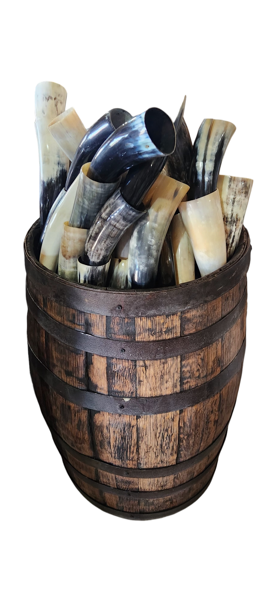 Luises Perez Imports LLC - Wholesale Decorative Tabletop Object - Single polished horns from 13 to 17 inches 1