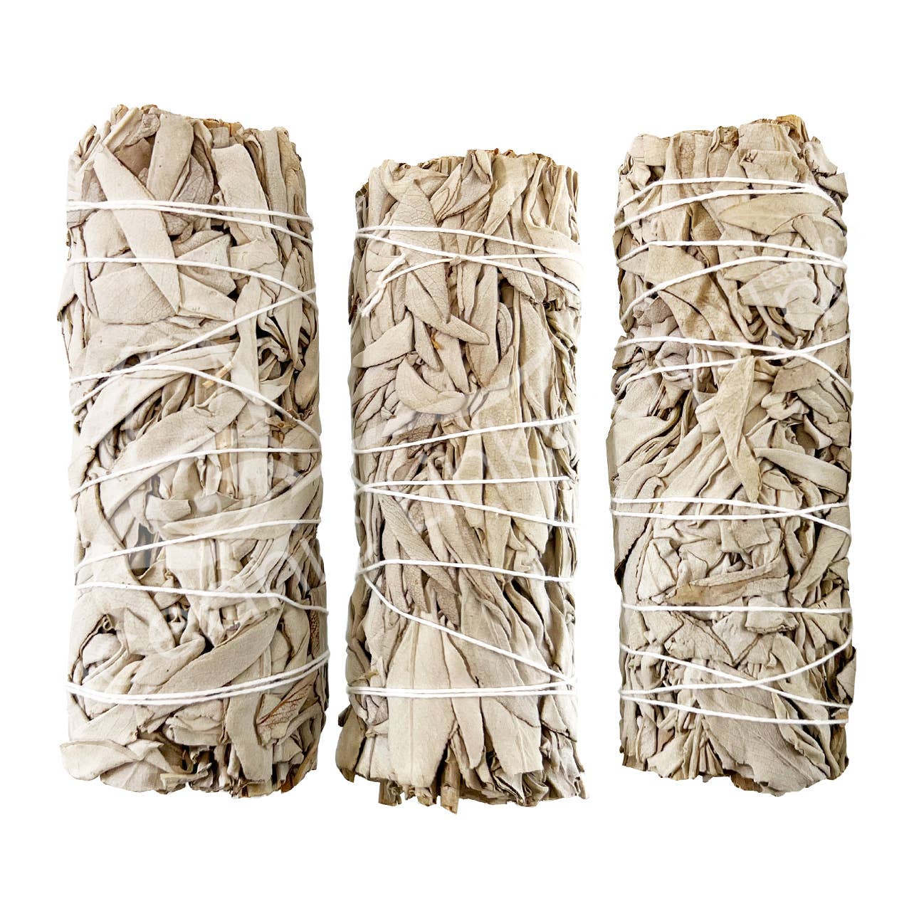 Oceanic Linkways Inc - Wholesale Smudge stick - SMUDGE STICK - WHITE SAGE 5-6"