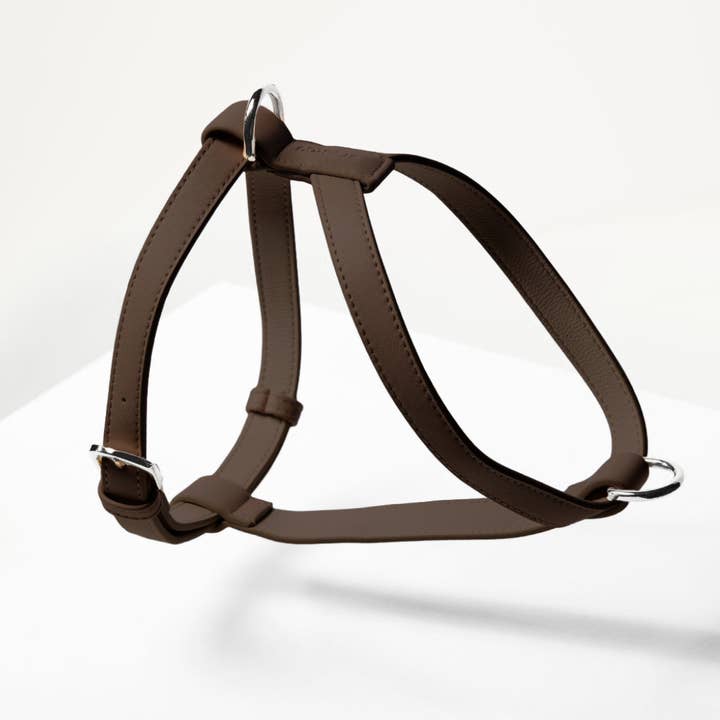 HARNESS - Cocoa for wholesale by ST ARGO