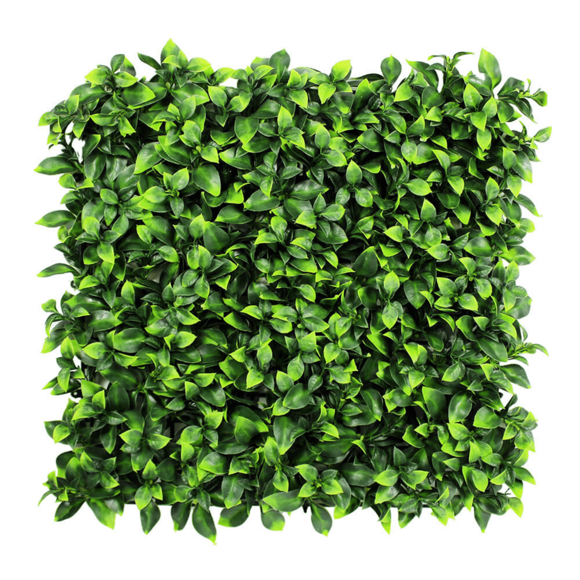 Artificial  Green Elderflower Stems Foliage Greenery  3 FOR £14.99 
