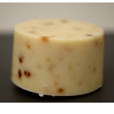 Classic date palm for wholesale by Snoap