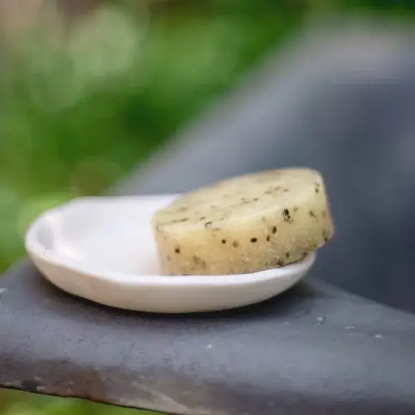 Amber cosmetics Ltd (Vegan Fox) - Wholesale Body Scrub/Exfoliant - Body Scrub Bar With Kiwi Seeds2