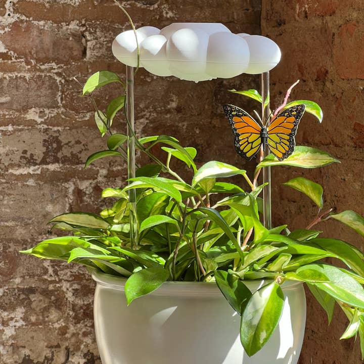 The Cloud Makers – wholesale Plant pot – Orange Butterfly Charm for Dripping Rain Clouds2