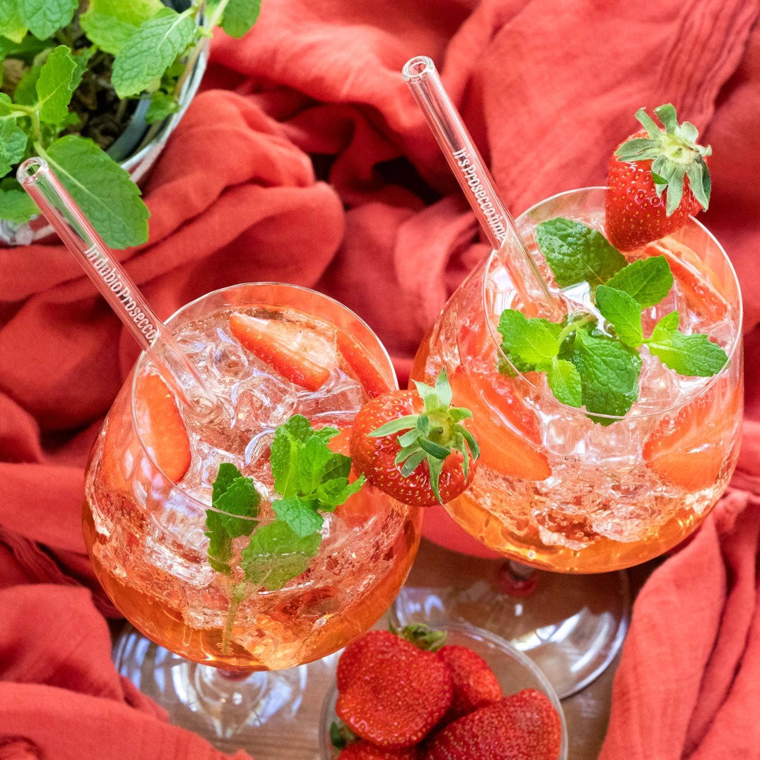 HALM Straws - Wholesale Drinking Straw - Prosecco sayings engraved glass straws with 6 fun sparkling wine toasts1