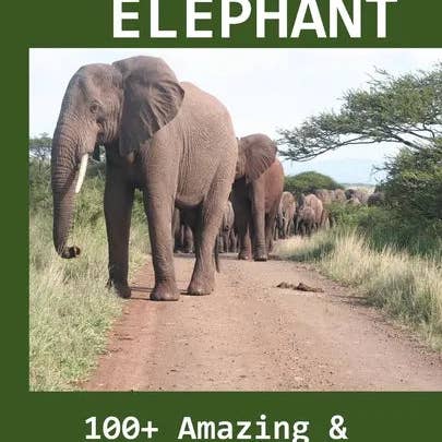 Books by splitShops - Wholesale Nature & Outdoors - Know about Elephant: 100+ Amazing & Interesting Facts Book for Kids - Paperback
