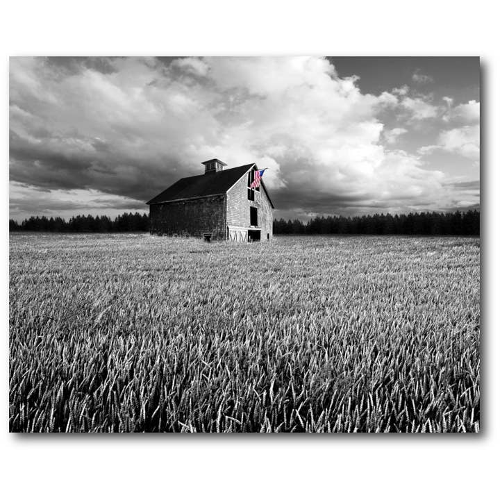 Vlaggen van onze boerengalerij - Wrapped canvas Wall Art voor wholesale door Courtside Market